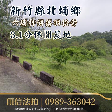 新竹北埔農地法拍-1