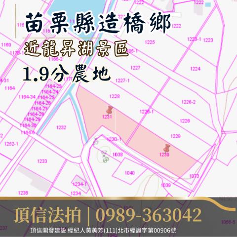 苗栗造橋法拍農地-3
